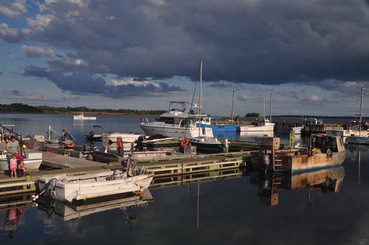 harbor scene